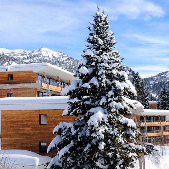 Fläche/Größe circa 26m².