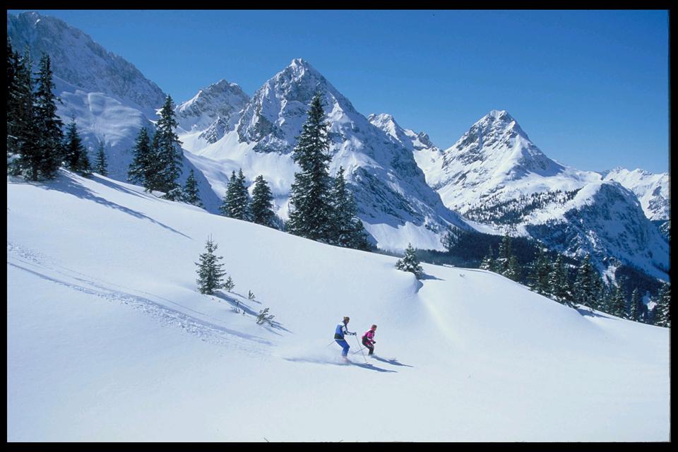 Ladis  Foto: 1 von 1