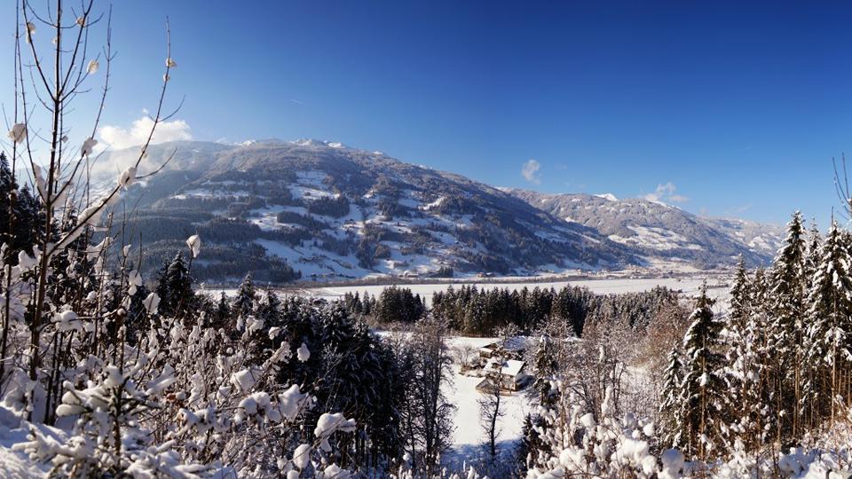Stumm Foto: 1 von 1