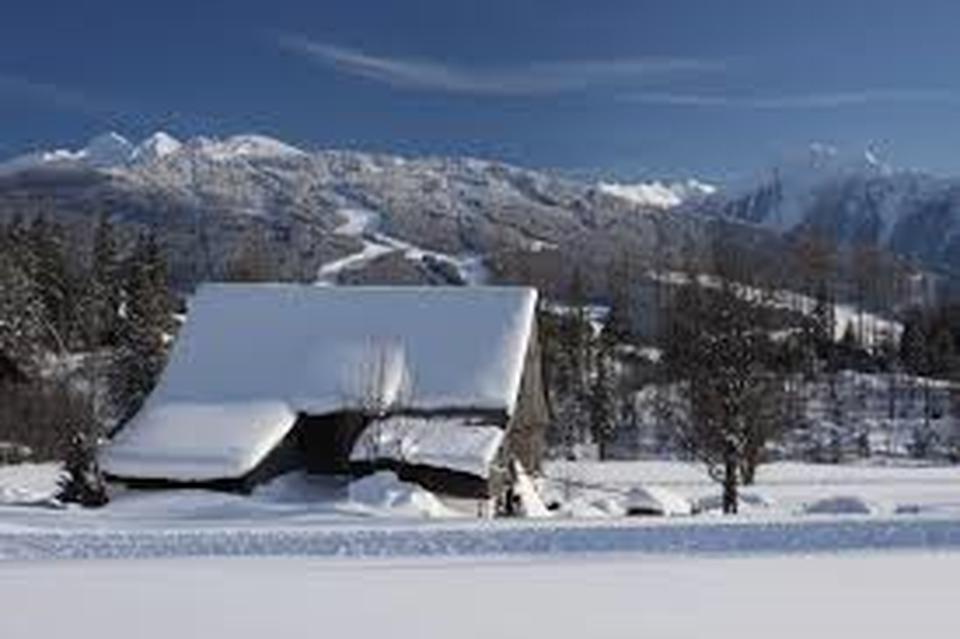 Pichl Foto: 1 von 1