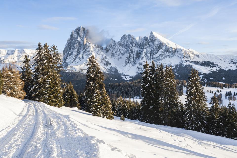 Seiser Alm Foto: 2 von 2