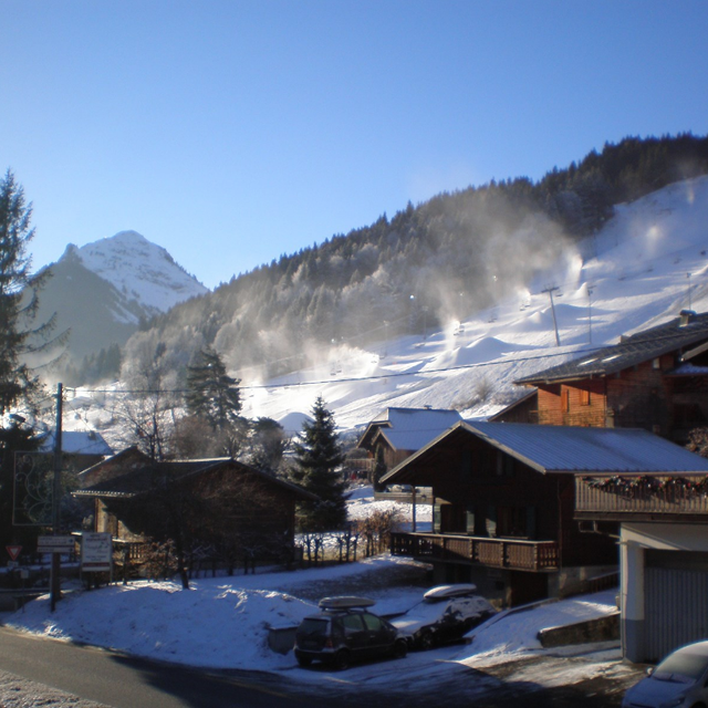 Fläche/Größe circa 36m².