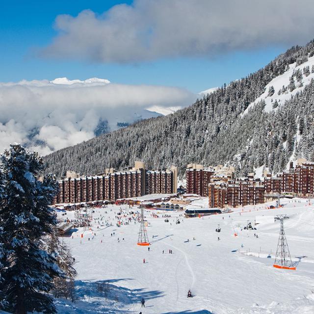 Fläche/Größe circa 36m².