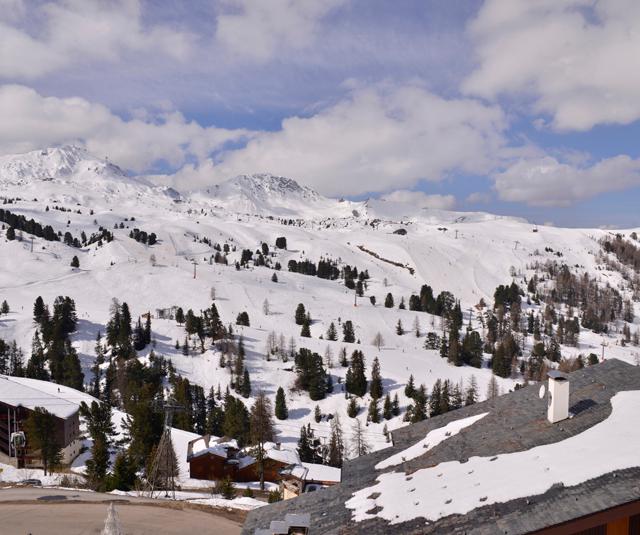 Fläche/ Größe: 28-30m².