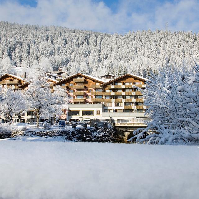 Fläche/Größe circa 23m².