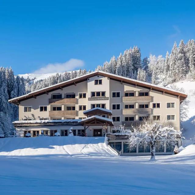 Fläche/Größe circa 32m².