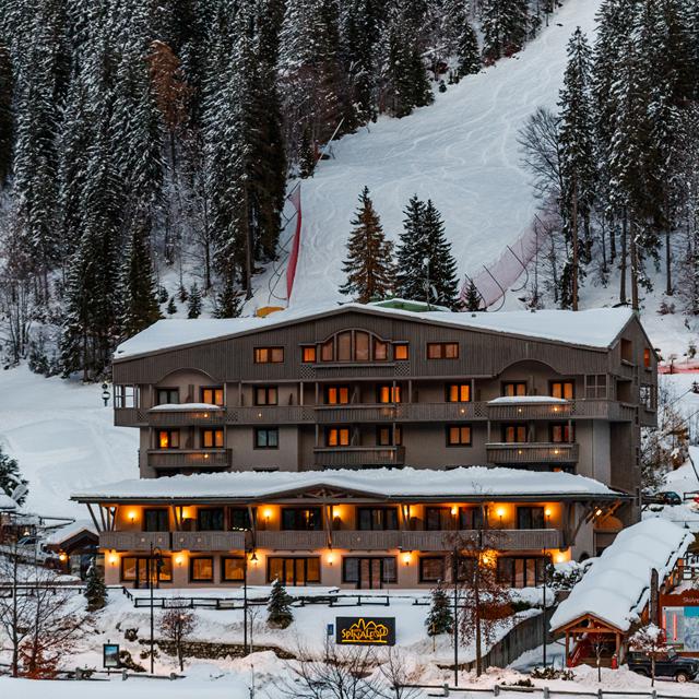 Fläche/Größe circa 19-26m².