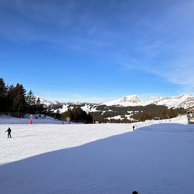 Fläche/Größe circa 2500m².