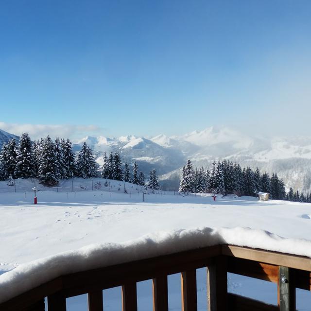 Fläche/Größe circa 3700m².